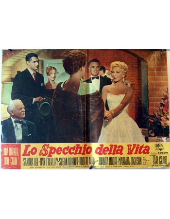 IMITATION OF LIFE