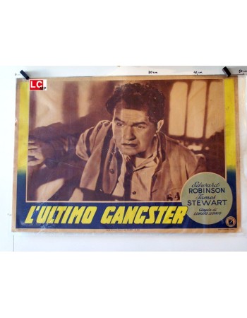 THE LAST GANGSTER