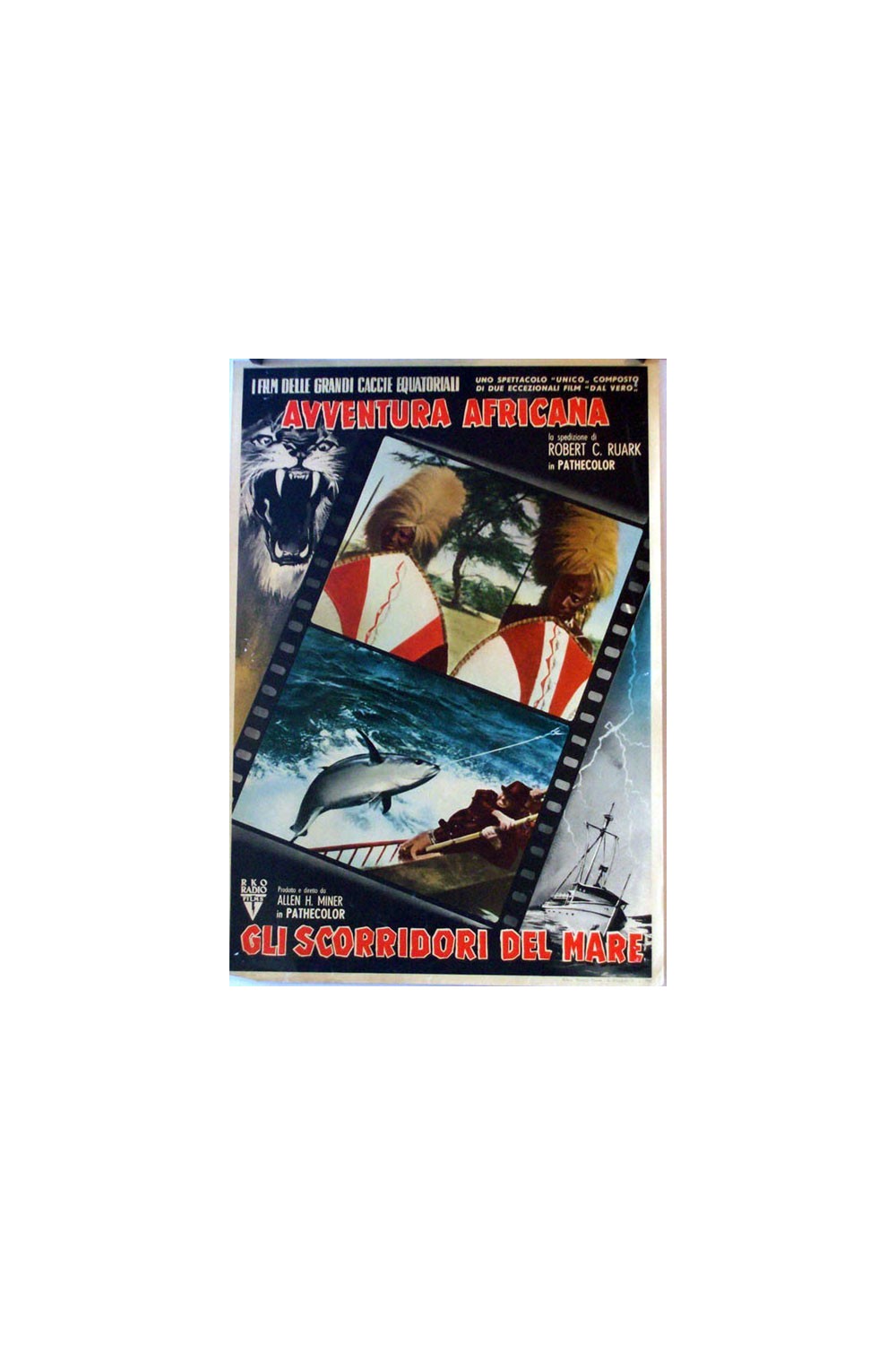 AVENTURA AFRICANA GLI SCORRIDORI DEL MARE