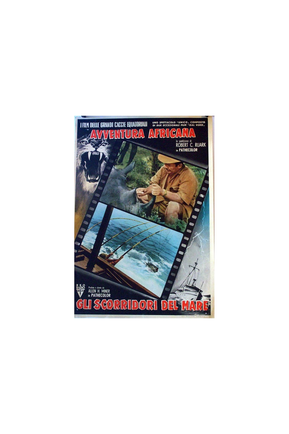 AVENTURA AFRICANA GLI SCORRIDORI DEL MARE