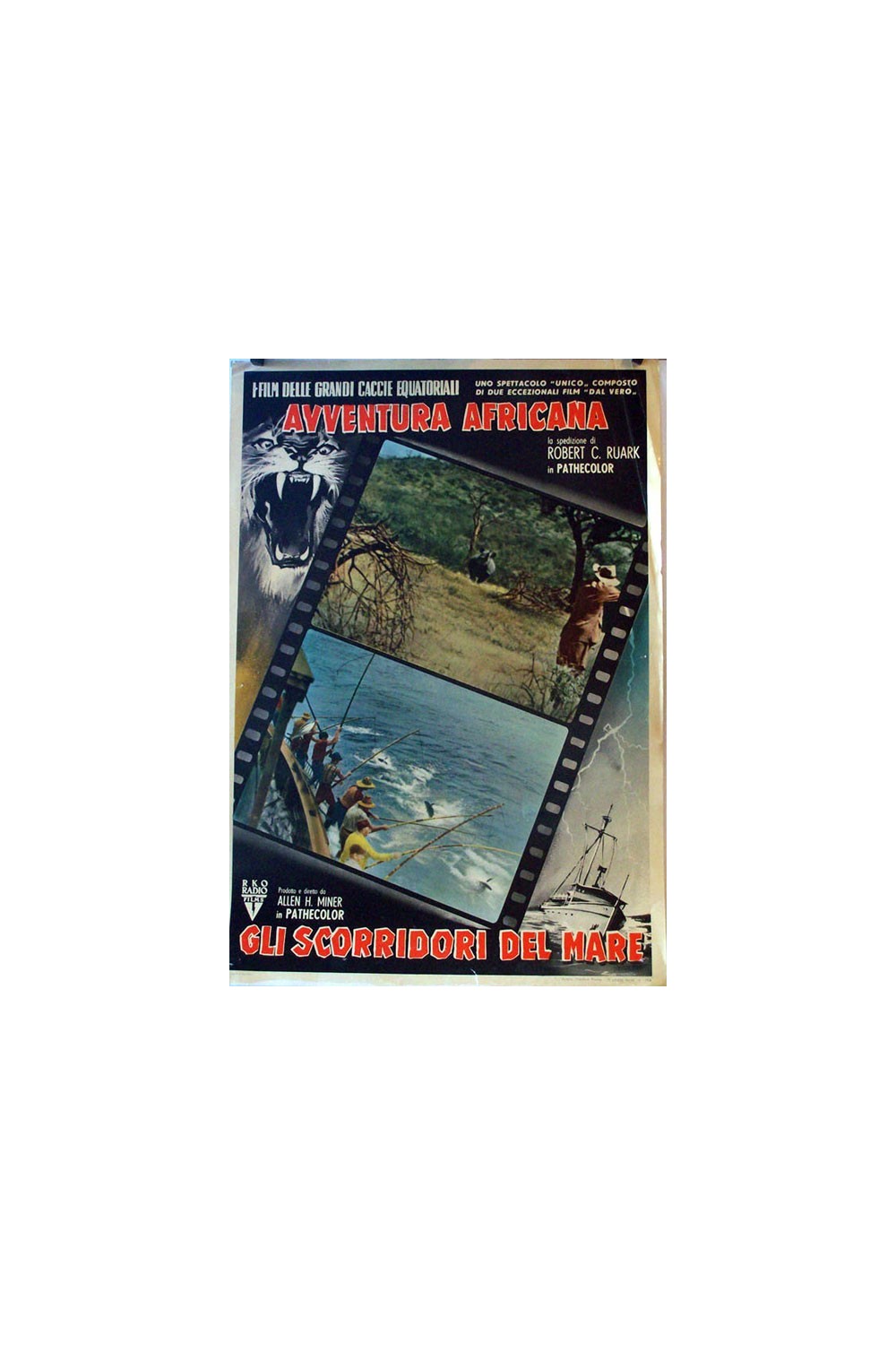 AVENTURA AFRICANA GLI SCORRIDORI DEL MARE