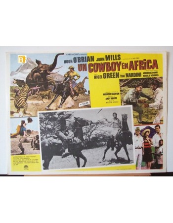Africa: Texas Style
