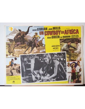 Africa: Texas Style