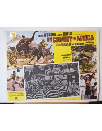 Africa: Texas Style