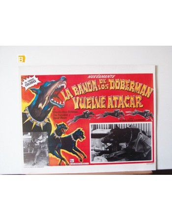 The Daring Dobermans