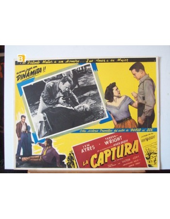 THE CAPTURE