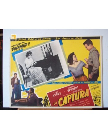 THE CAPTURE