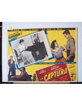 THE CAPTURE