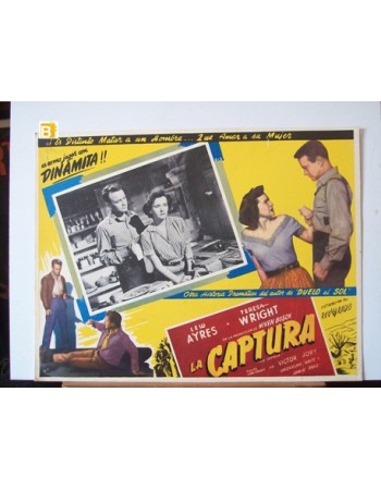 THE CAPTURE