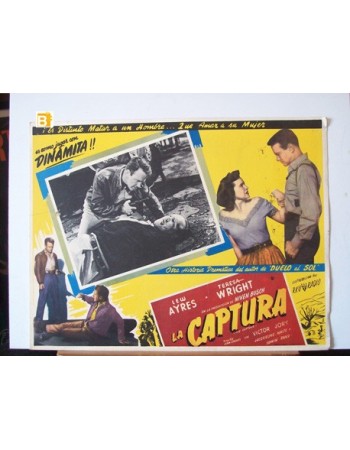 THE CAPTURE