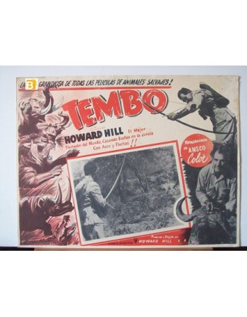 Tembo