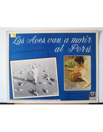 Les oiseaux vont mourir au P