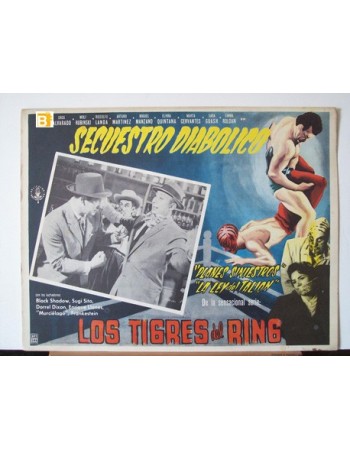 LOS TIGRES DEL RING