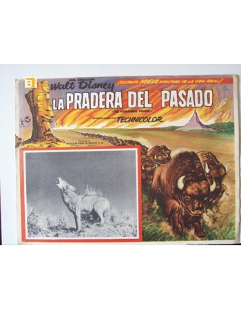 THE VANISHING PRAIRE