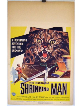 THE INCREDIBLE SHRINKING MAN