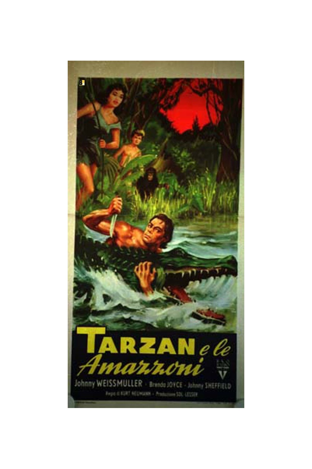 TARZAN AND THE AMAZONS
