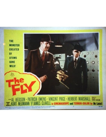 THE FLY