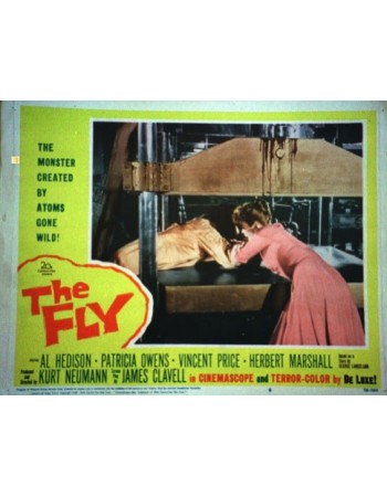 THE FLY