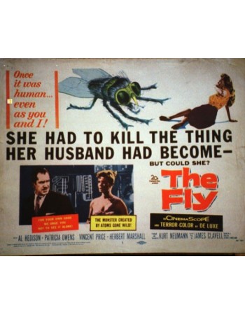 THE FLY