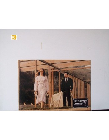 THE LAST TYCOON