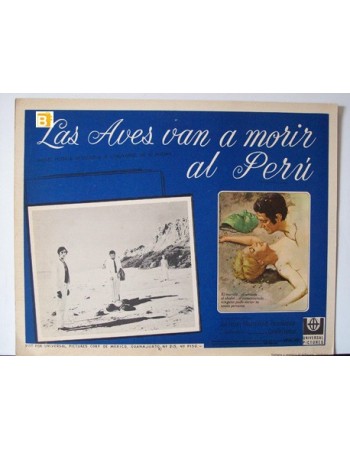 Les oiseaux vont mourir au P