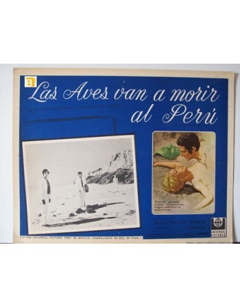 Les oiseaux vont mourir au P