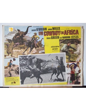 Africa: Texas Style