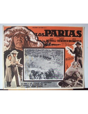The Black Dakotas