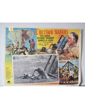 THE LAST SAFARI