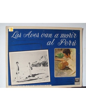 Les oiseaux vont mourir au P