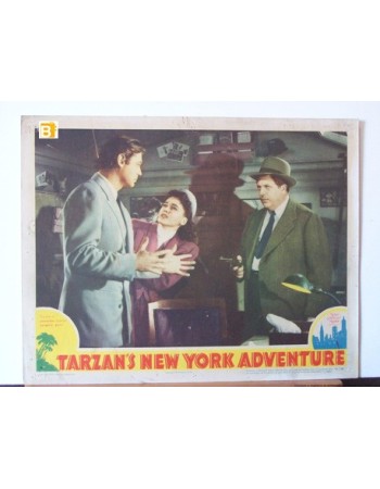 TARZAN'S NEW YORK ADVENTURE