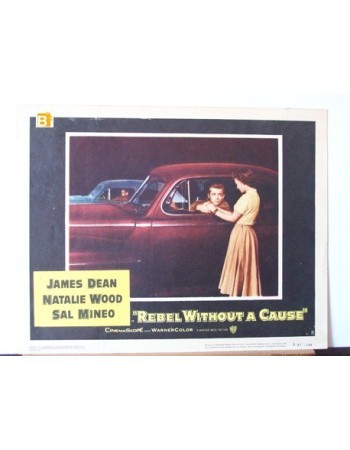 REBEL WITHOUT A CAUSE