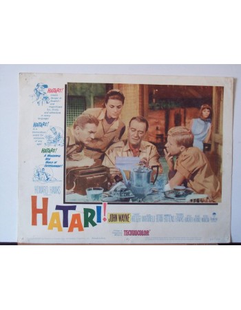 HATARI