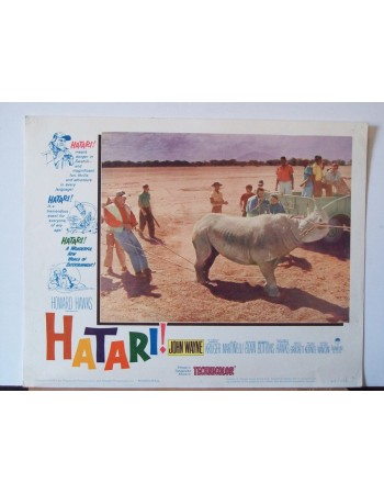 HATARI