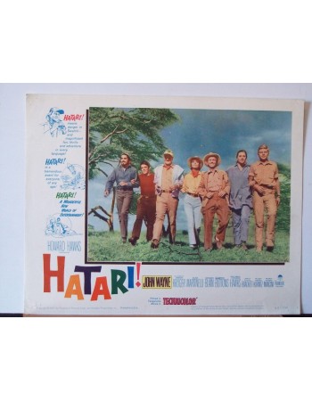 HATARI