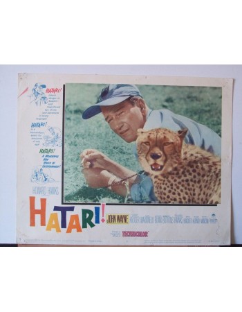 HATARI