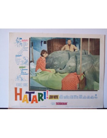 HATARI