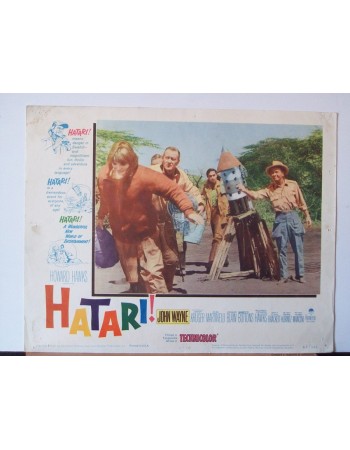 HATARI