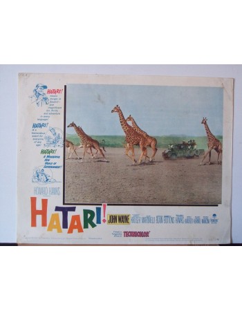 HATARI