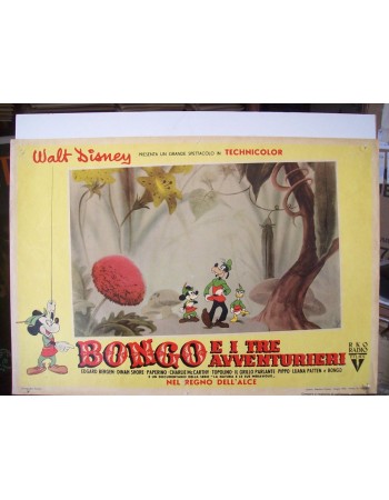 BONGO