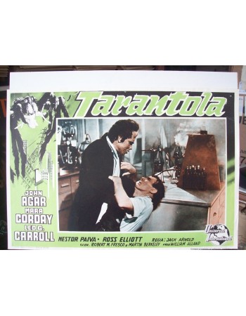 TARANTULA