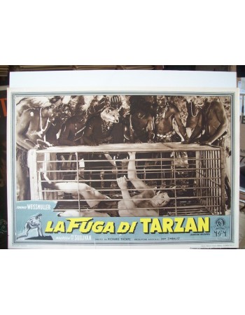 TARZAN ESCAPES