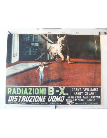 THE INCREDIBLE SHRINKING MAN