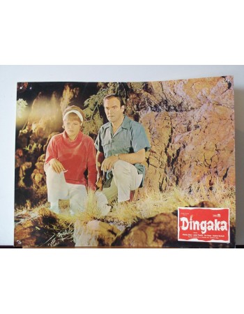 DINGAKA