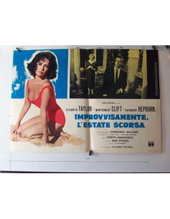SUDDENLY LAST SUMMER