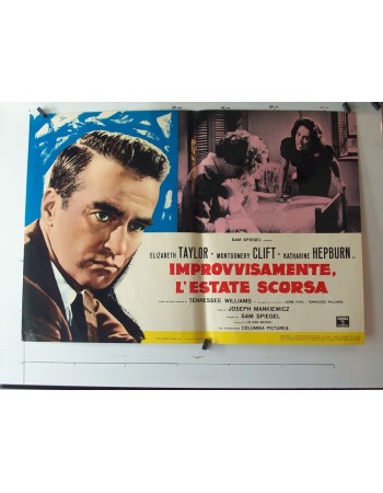 SUDDENLY LAST SUMMER