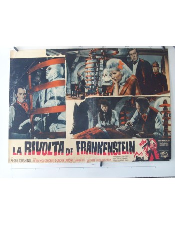 THE EVIL OF FRANKENSTEIN