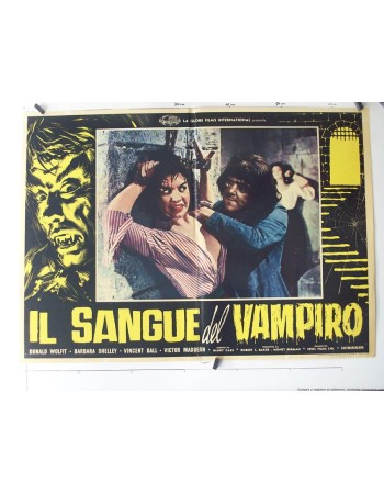 BLOOD OF THE VAMPIRE