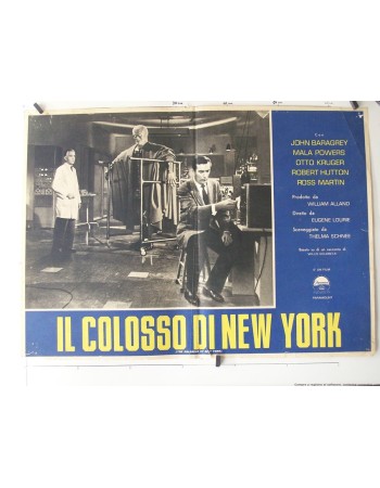 THE COLOSSUS OF NEW YORK