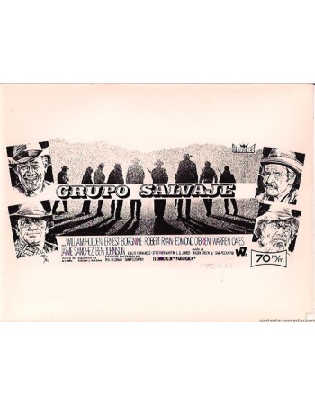 THE WILD BUNCH